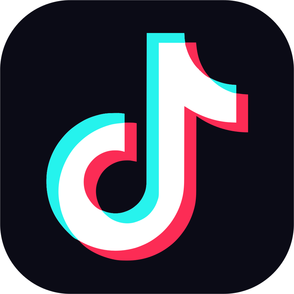 TikTok Icon